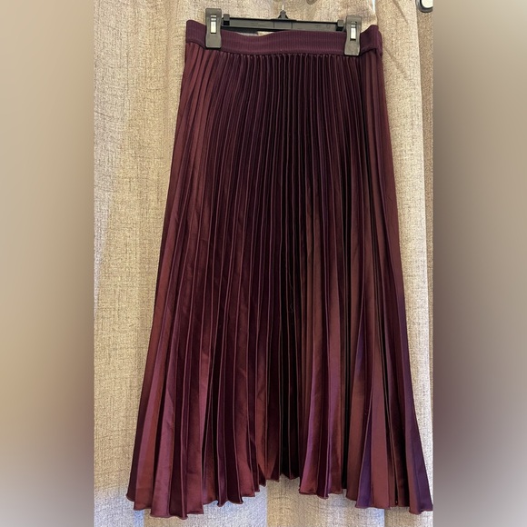 H&M Dresses & Skirts - H&M Burgundy Pleated Skirt